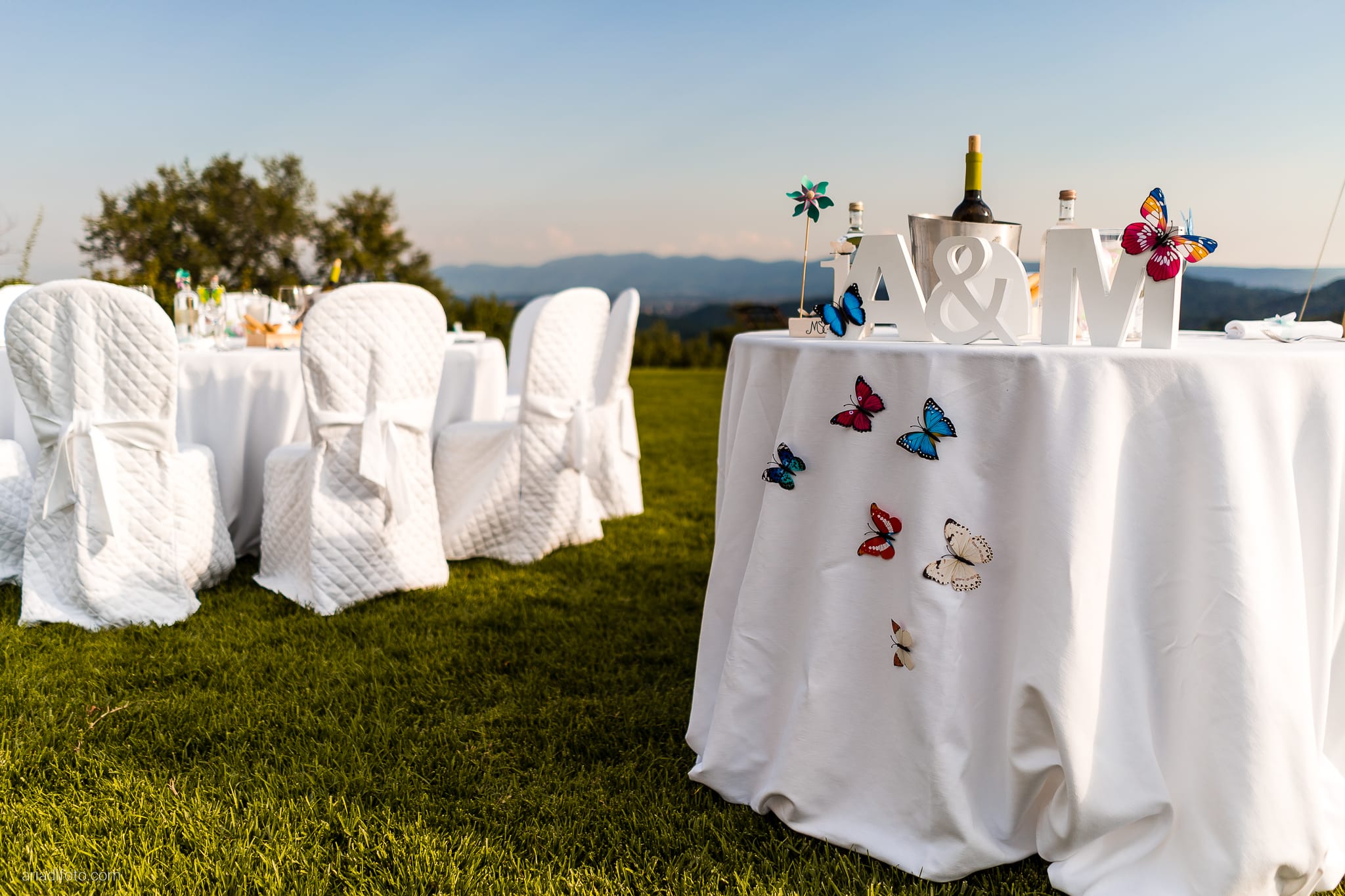 Marianna Andrea Matrimonio da sogno sotto le stelle allestimenti decorazioni farfalle colori tavoli all'aperto